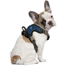 Seattle Kraken Front Clip Pet Harness