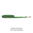 Oregon Ducks Nylon Leash