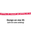 Wisconsin Badgers Nylon Leash