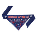 Washington Capitals Pet Reversible Paisley Bandana