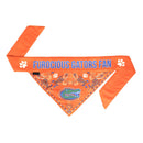 Florida Gators Pet Reversible Paisley Bandana - National Fur League