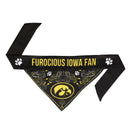 Iowa Hawkeyes Pet Reversible Paisley Bandana - National Fur League