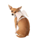 Angel Wings Pet Harness - National Fur League