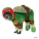Teenage Mutant Ninja Turtles Pet Costume - National Fur League