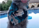 National Fur League Pet Bandana - National Fur League
